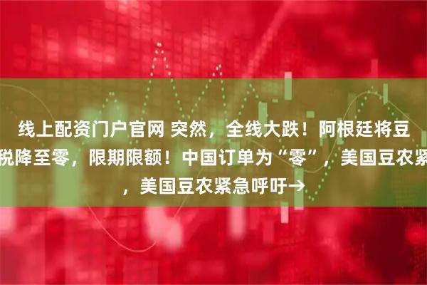 线上配资门户官网 突然，全线大跌！阿根廷将豆类出口关税降至零，限期限额！中国订单为“零”，美国豆农紧急呼吁→